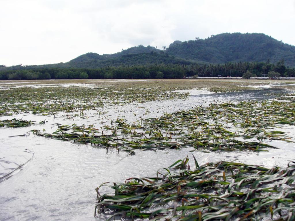 Surrounding environment