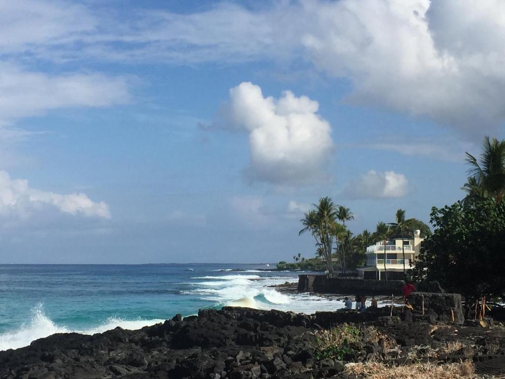 Kona Magic Honu Room photo