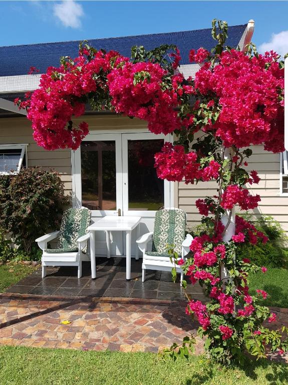 Island Cottage photo