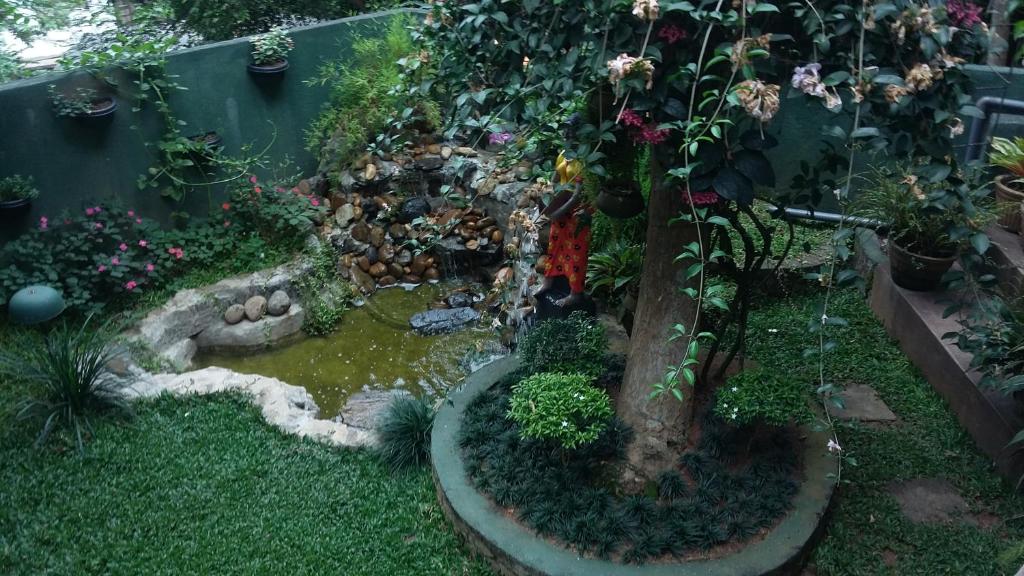 Kandy Mountain Cottage photo