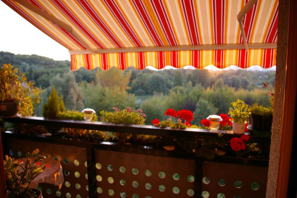 2-Zimmer-Ferienwohnung "Garten der Welt" photo
