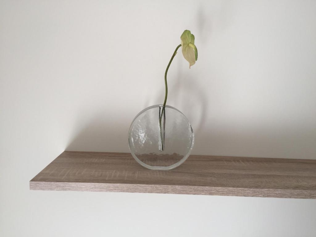 PISO CÉNTRICO DE 100 M2 - 5