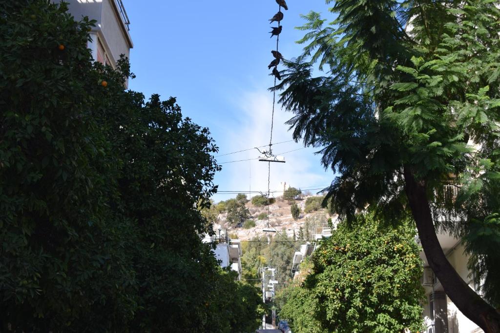 Absolute Athens I photo