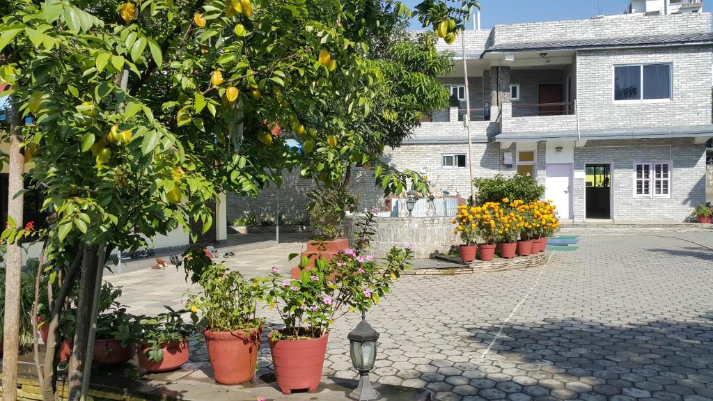 Hotel Bishram photo
