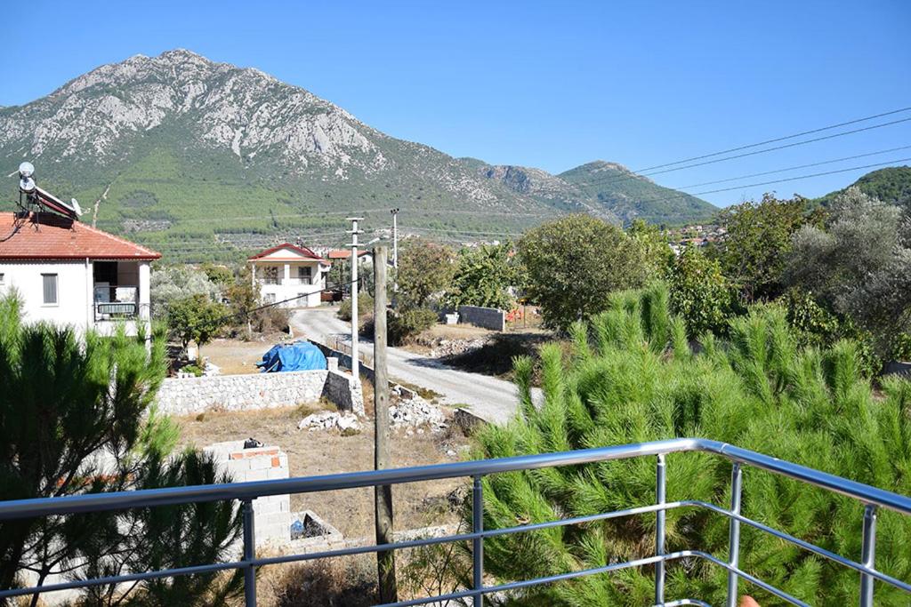 Villa Olive photo