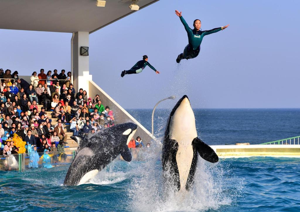 Kamogawa Sea World Hotel photo