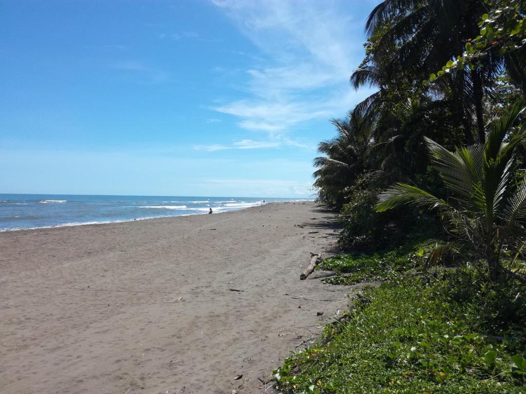 Apartahotel & Gym Rondon photo