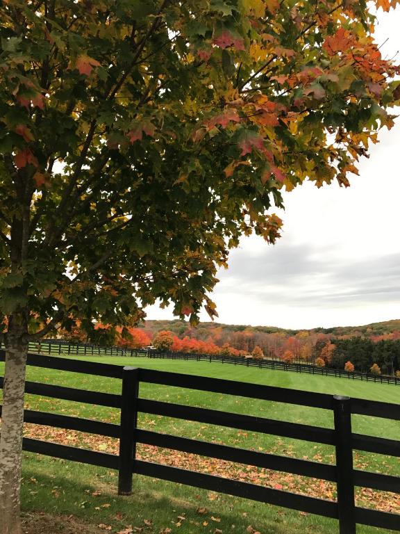 Station Inn Pawling photo