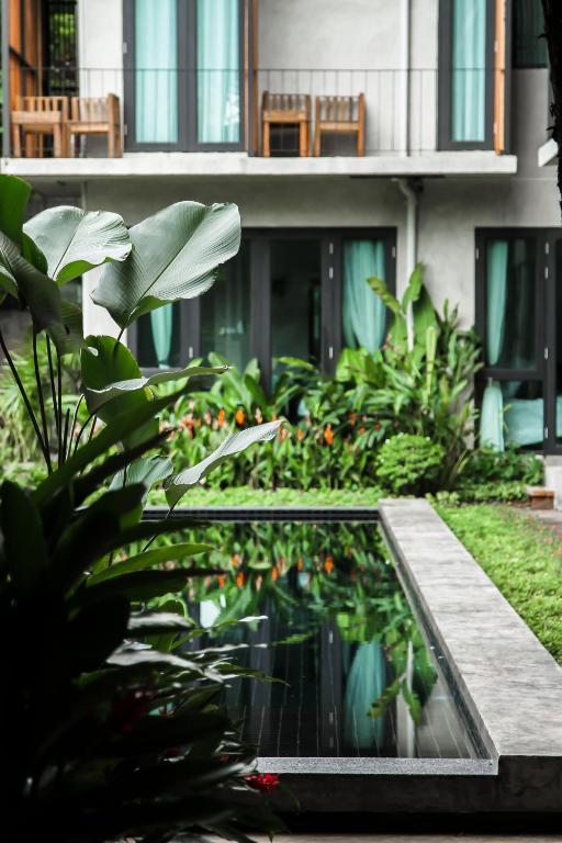 スイミングプール