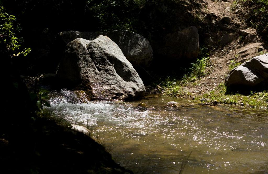 Sports and activities