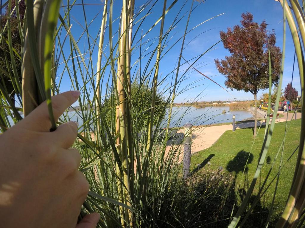 Lake and Spa Apartman photo