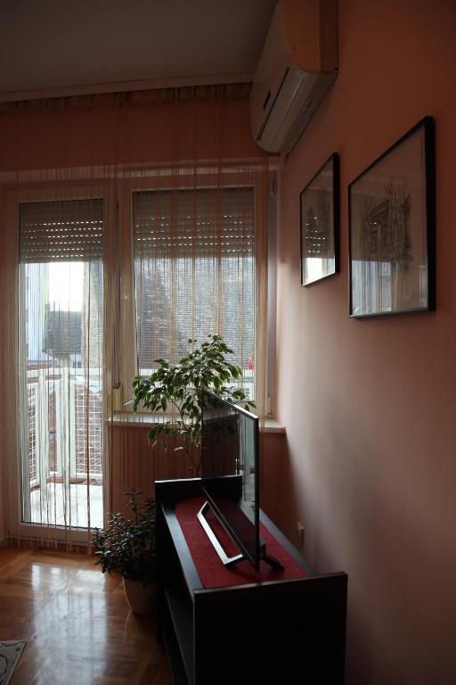 Momo's studio apartment Subotica photo
