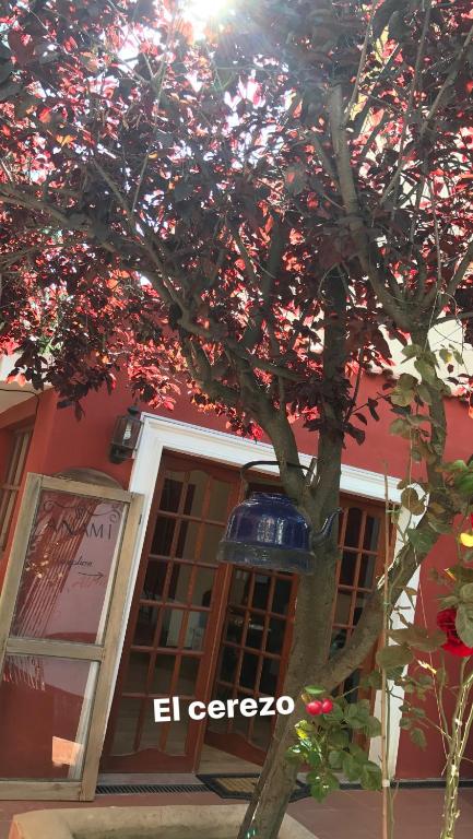 Anami Hotel Boutique photo