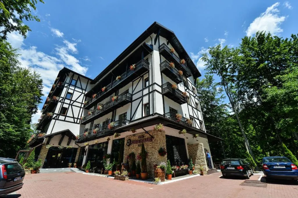 Hotel Posada Vidraru, hotel in Căpăţîneni-Ungureni