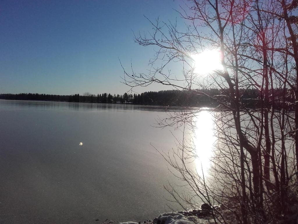 Surrounding environment