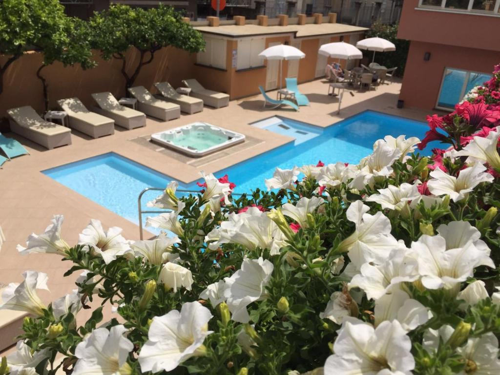 Hotel Monte Rosa photo