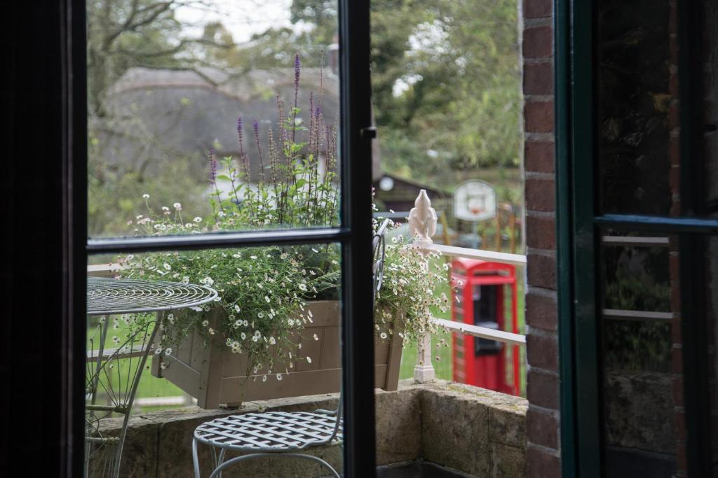 The Museum Inn photo