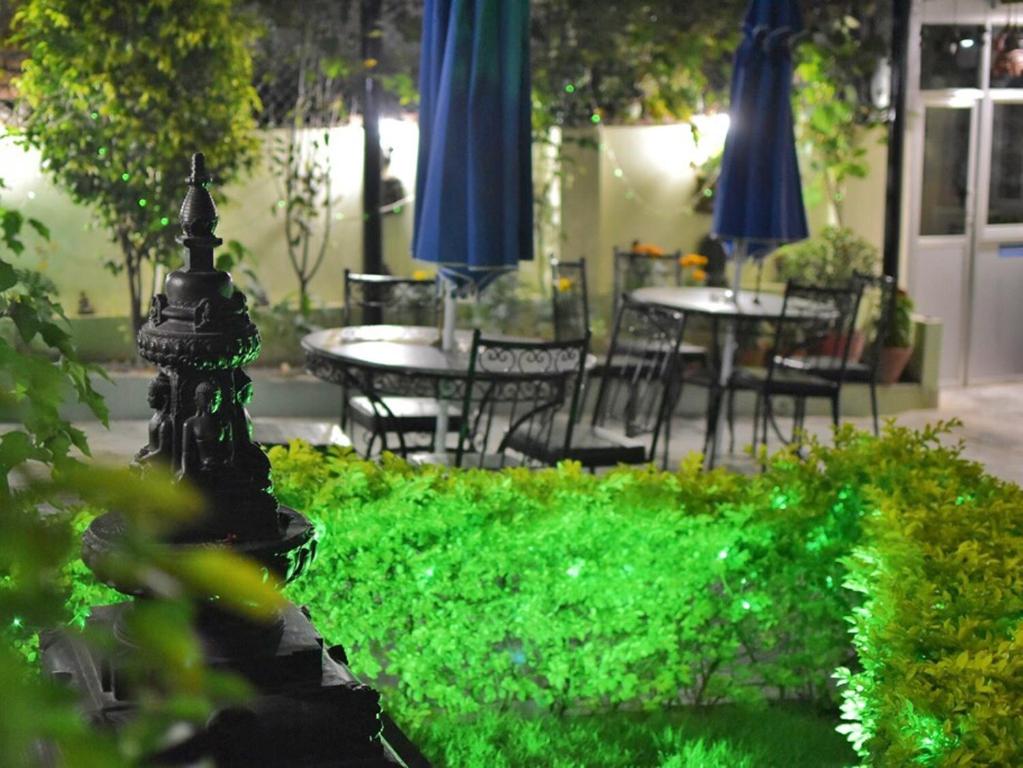 Garden