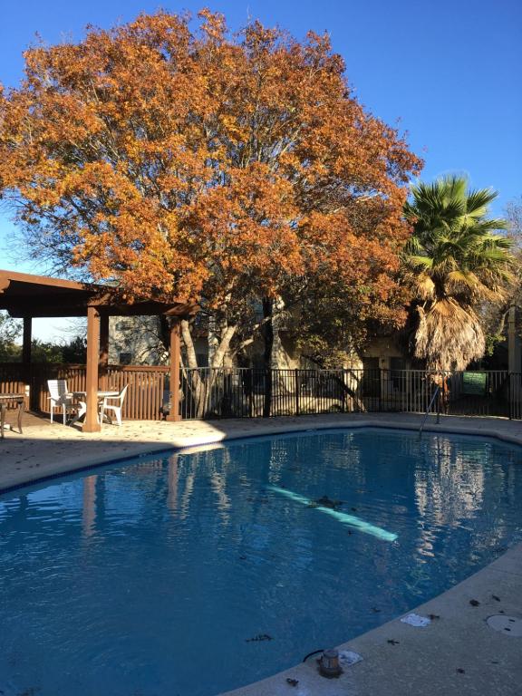 Mountain Star Lodge photo