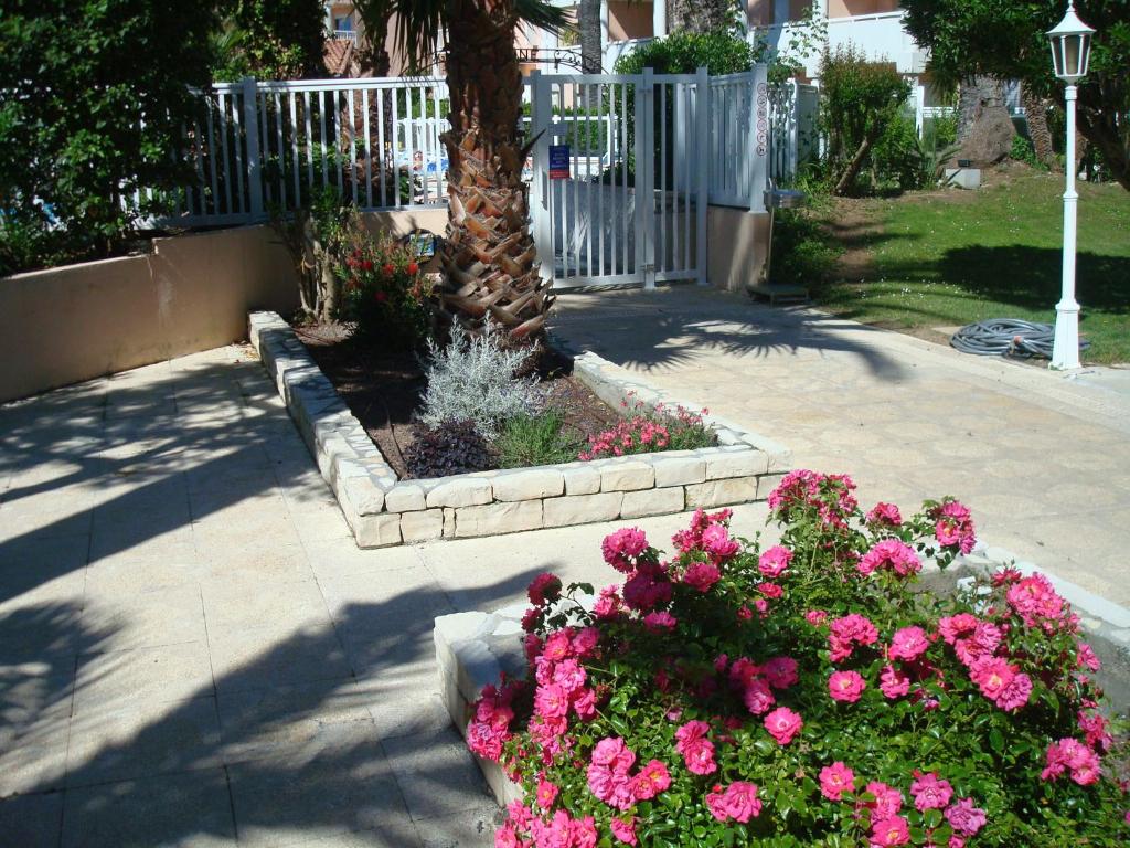 App T2 cozy Proche de la Mer - 3