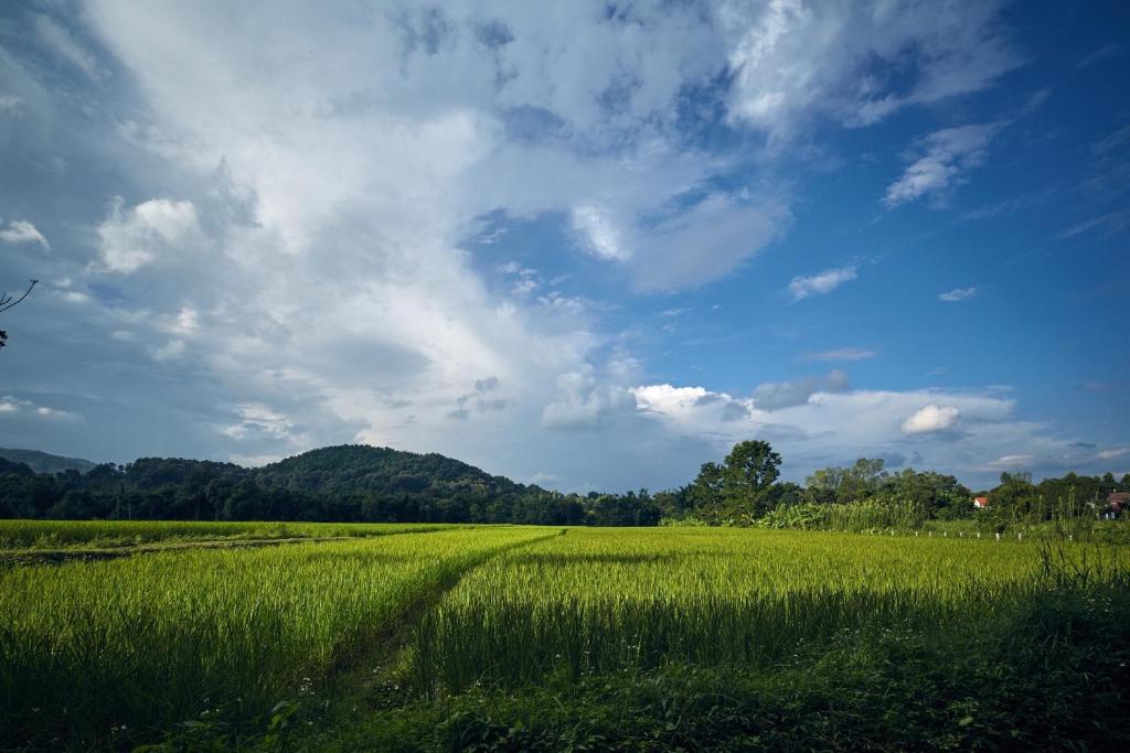 Surrounding environment