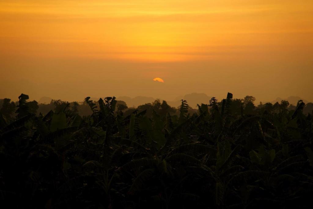 Tam Coc Green Fields Homestay 호텔 이미지 2