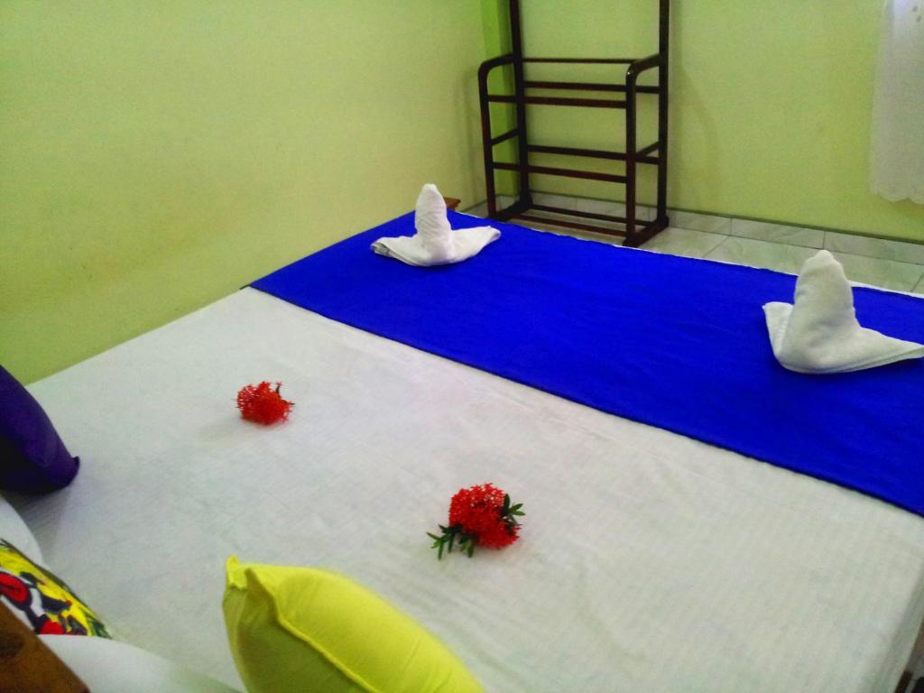 Nisala Villa - MIDIGAMA photo
