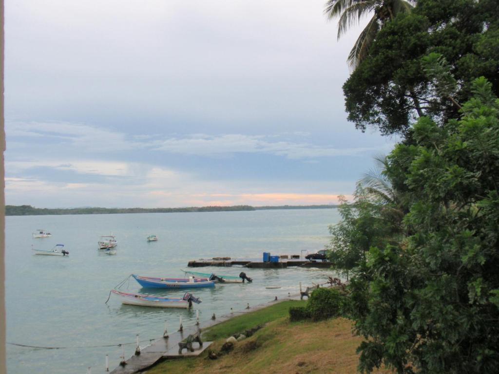 View