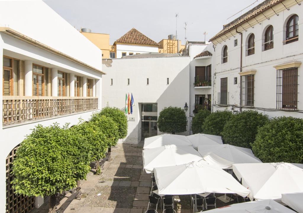 Albergue Inturjoven Cordoba photo