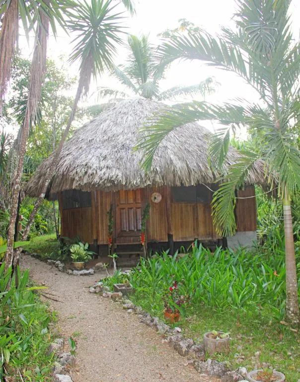 Sun Creek Lodge, Hotel in Punta Gorda