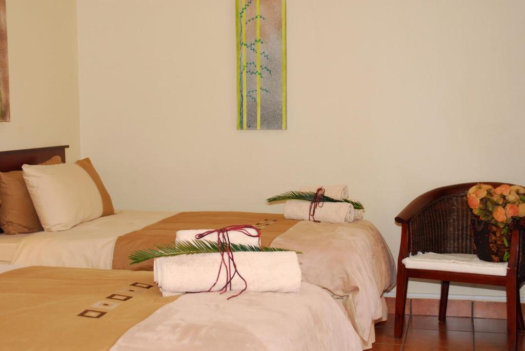Cycas Guest House photo