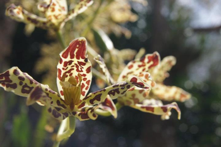 สภาพแวดล้อมโดยรอบ