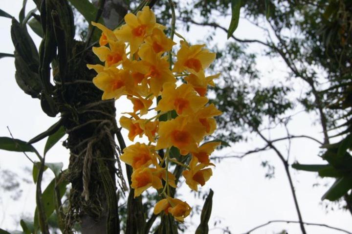 สภาพแวดล้อมโดยรอบ