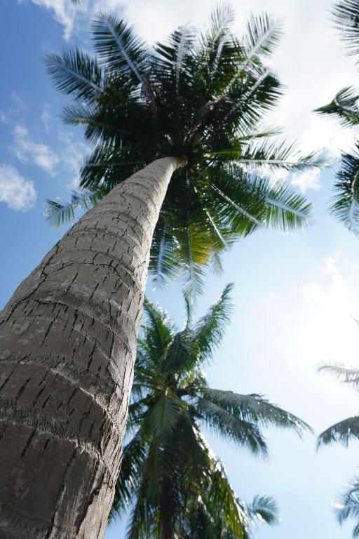 View, Koh Kood BED's in Koh Kood