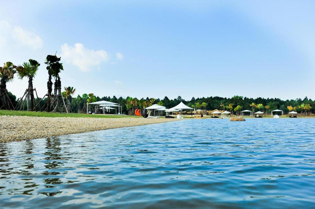 Flamingo Villa Happy photo