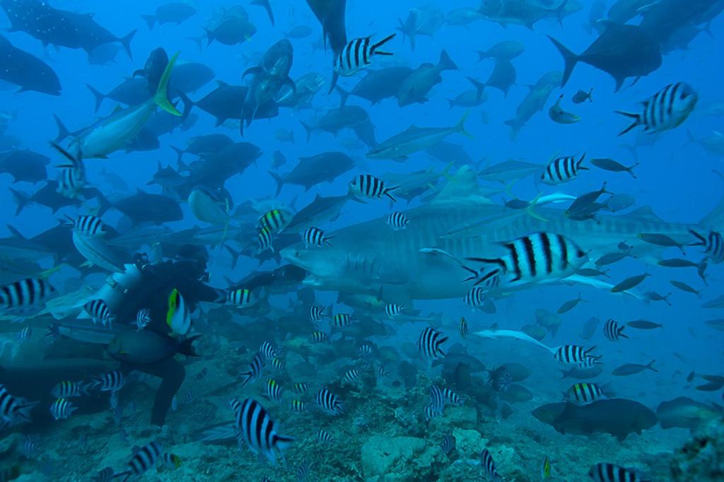 Sport és szabadidő