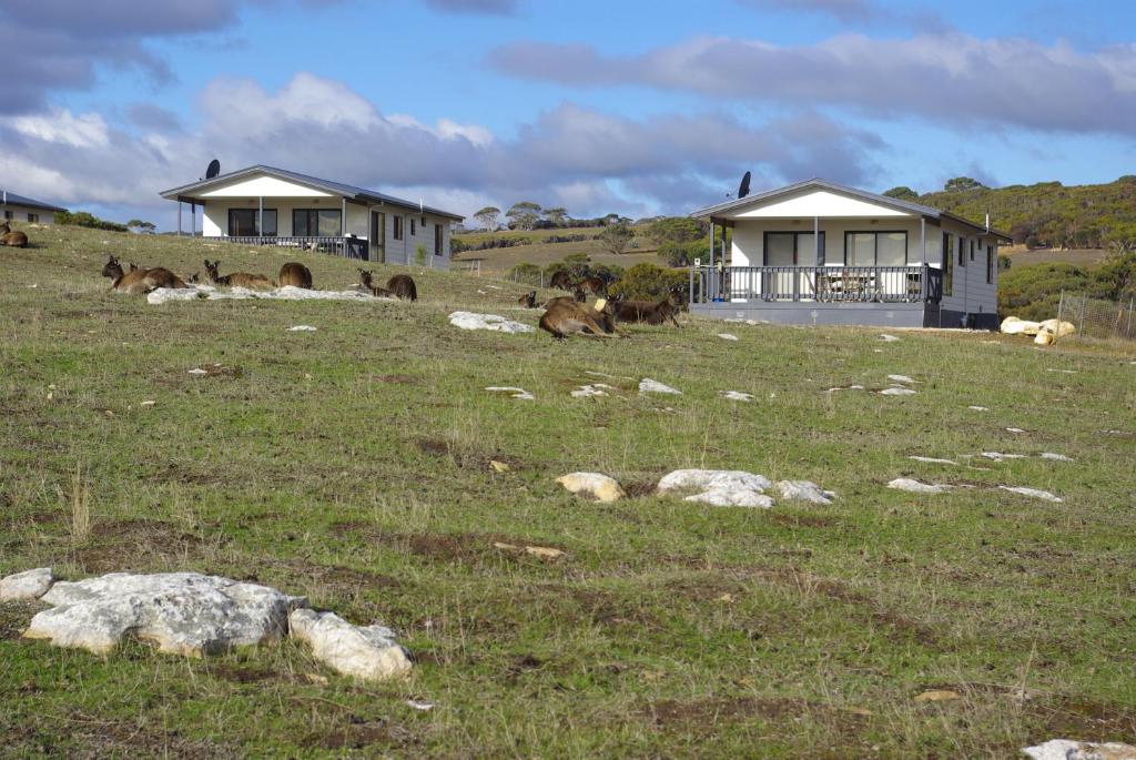 Waves & Wildlife Cottages Kangaroo Island Informationen und Buchungen online ViaMichelin