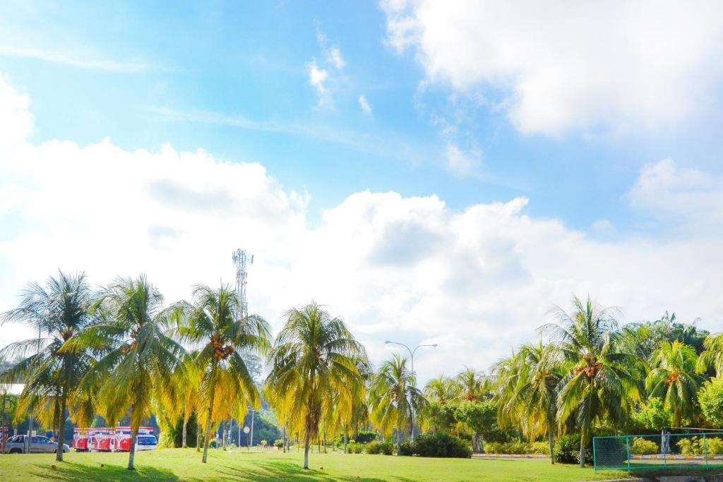 Surrounding environment