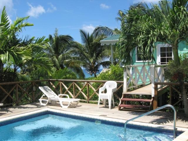 Palm Cottage photo