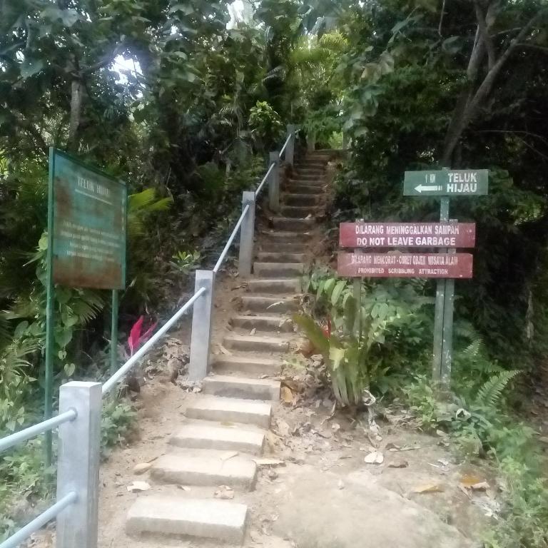 View