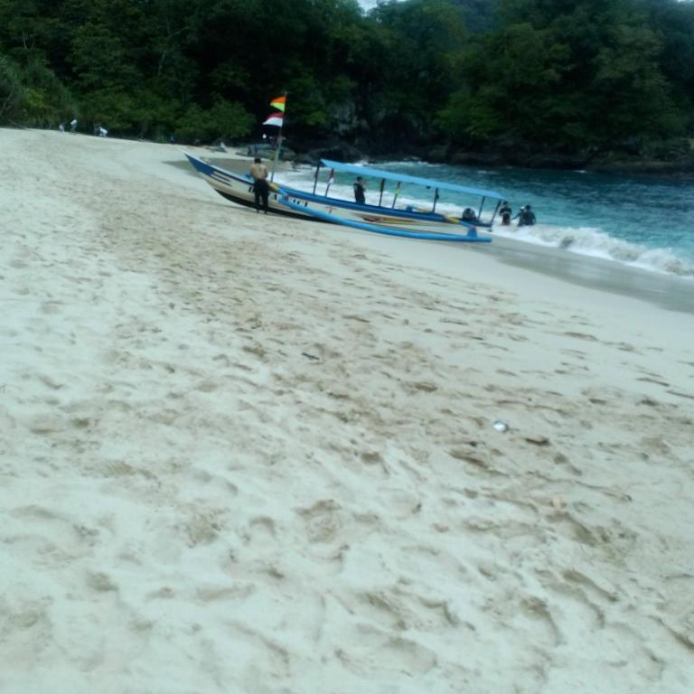 Sports and activities