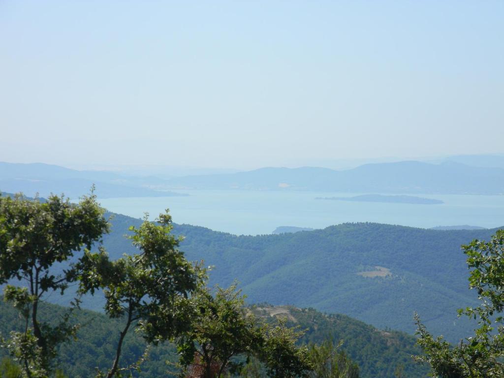 La Casa Gialla Belvedere - 3