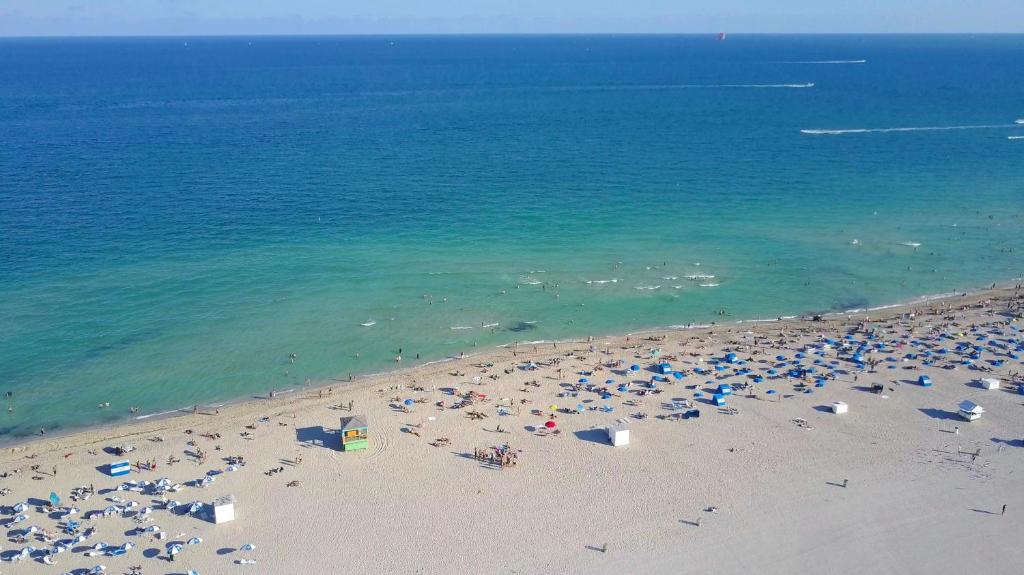 The Donovan at Miami Beach photo
