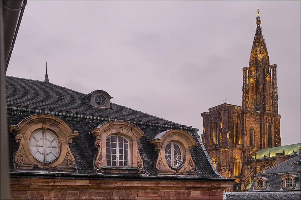 L'oeil sur la fleche photo