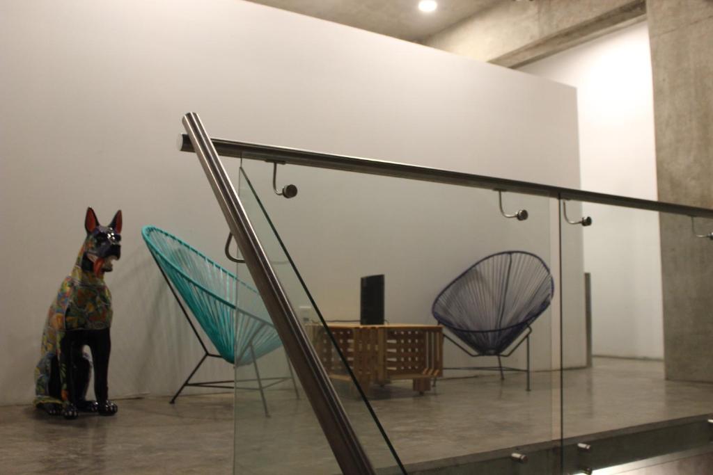 Hostal Tortuga photo
