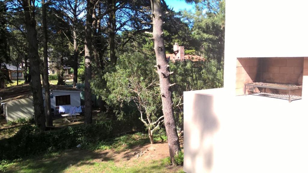 Los Amigos del Pinar - 5