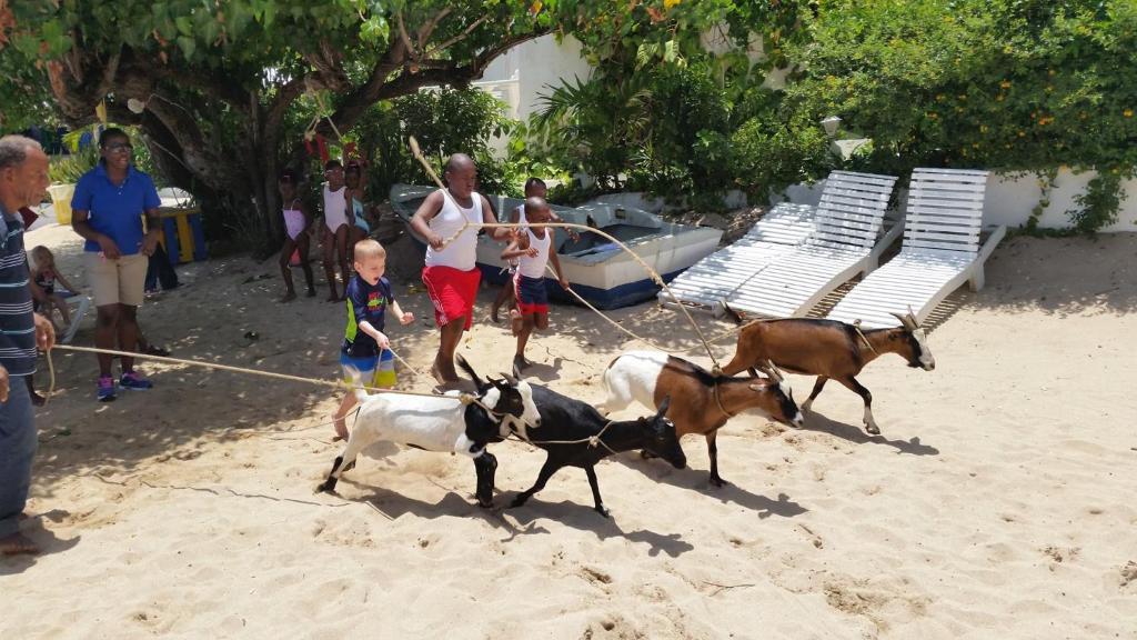 Franklyn D. Resort & Spa — Beach in Runaway Bay