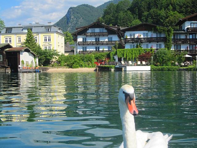 Hotel Seerose Wolfgangsee — Hotel in St Wolfgang im Salzkammergut