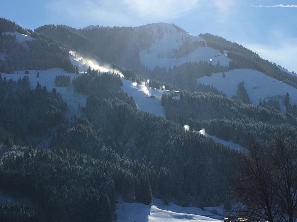 Chalet Christine - 4