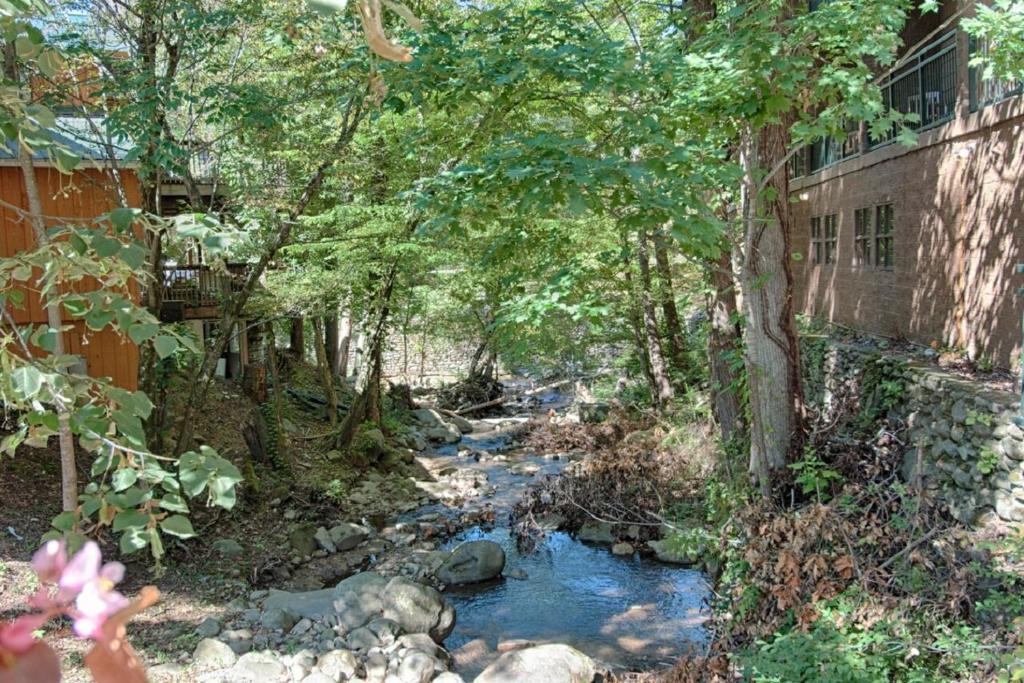 Surrounding environment